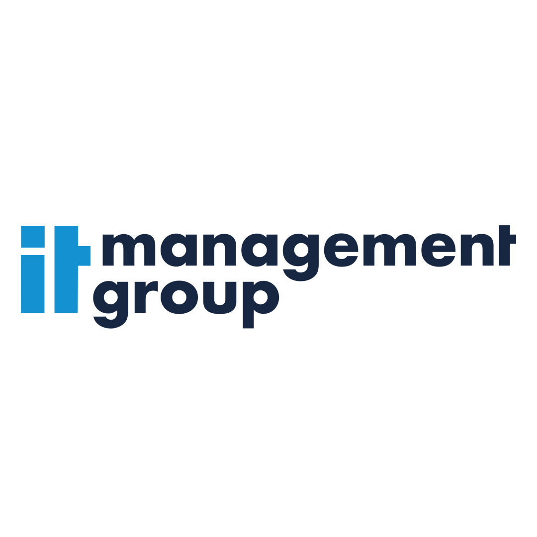 IT Management Group